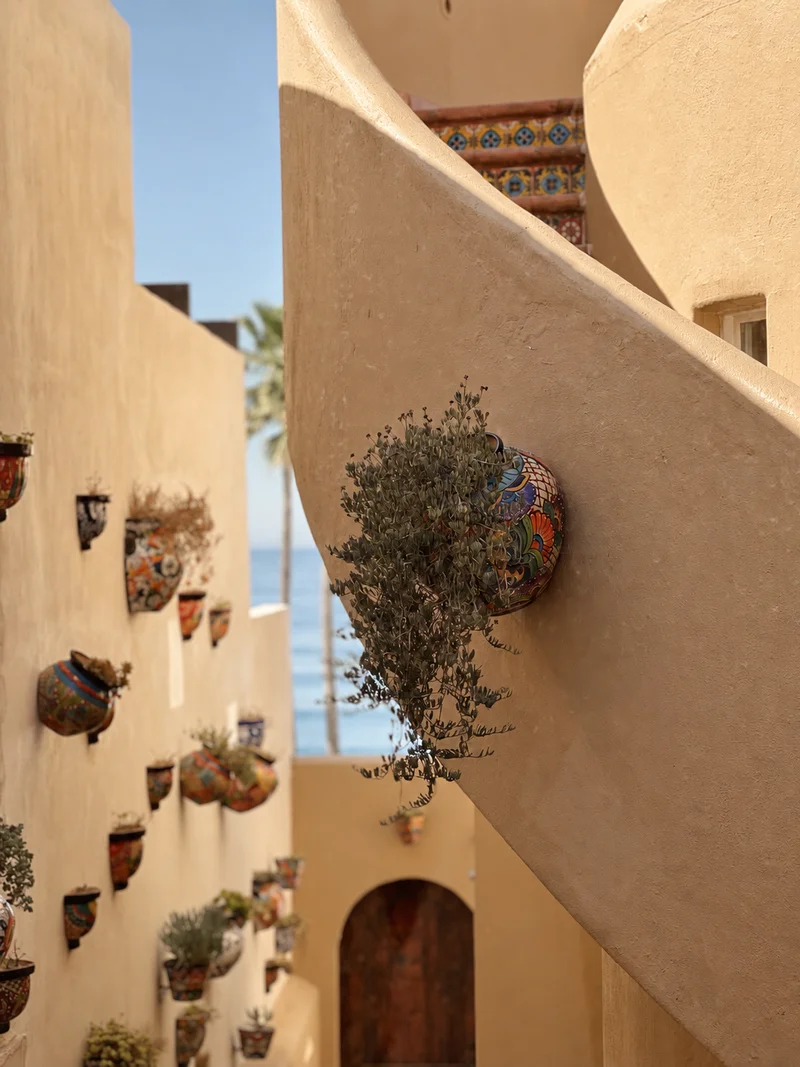 Painted ceramic pots fixed to a curved stucco wall and planted with succulents and dried stems, a tiled stair curving above, a palm and the ocean beyond, and an arched timber door in the shade below.